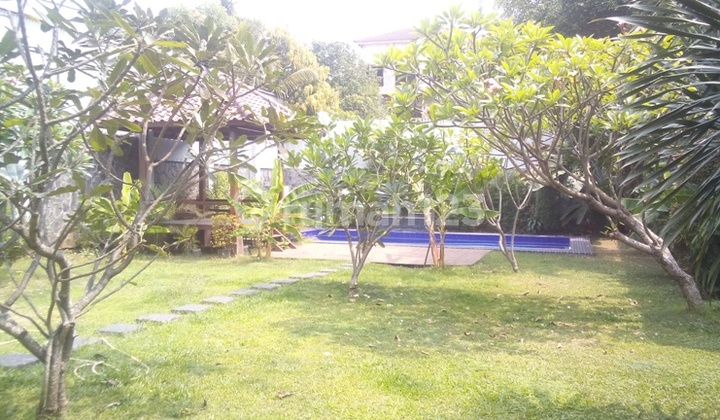 Big House..big Pool...spacious garden in kemang