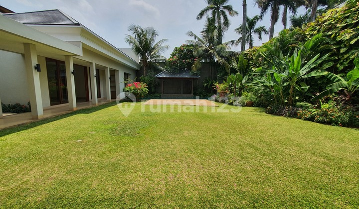 Bright and Cozy House with nice Backyard in Cipete