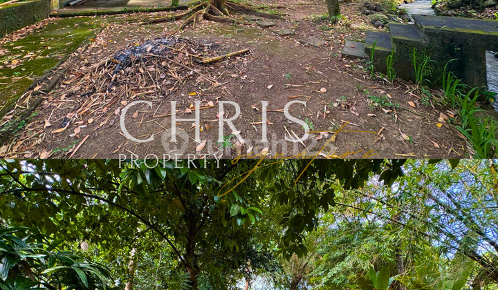 Dijual Tanah Strategis di Padonan, Bali. Dijual Tanah Strategis di Padonan, Bali.