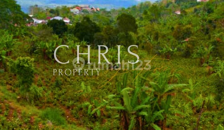 Tanah Murah SHM Munduk Bali | Cocok Villa & Investasi