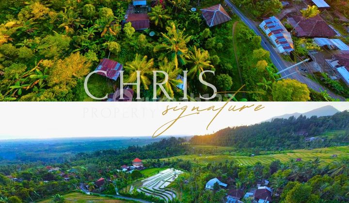 Strategic Land for Sale | SHM Yellow Zone with Rice Field View