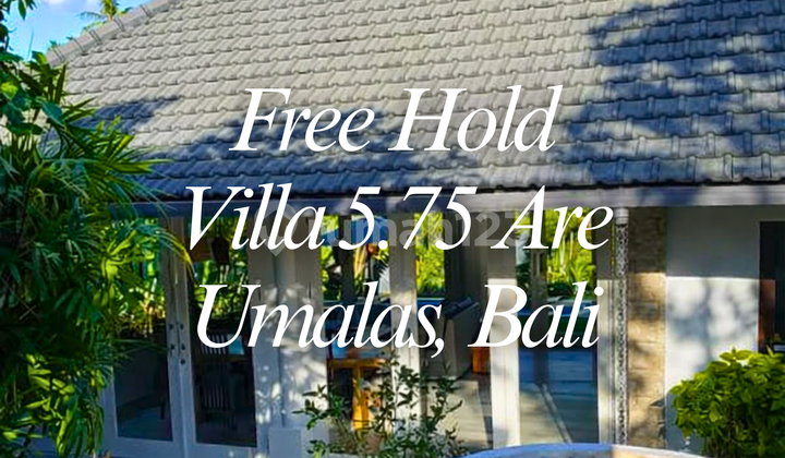 Villa For Sale In Umalas Prime Location Full Furnished Lokasi Strategis Kolam Renang Bebas Banjir