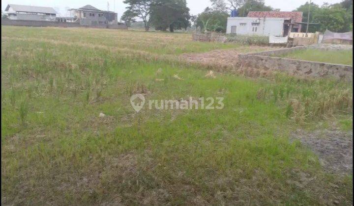 Tanah Cibeber Dekat Terminal Seruni Belakang Bintang Laguna Cilegon