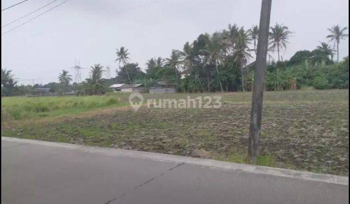 Tanah Cibeber Dekat Terminal Seruni Belakang Bintang Laguna Cilegon 2