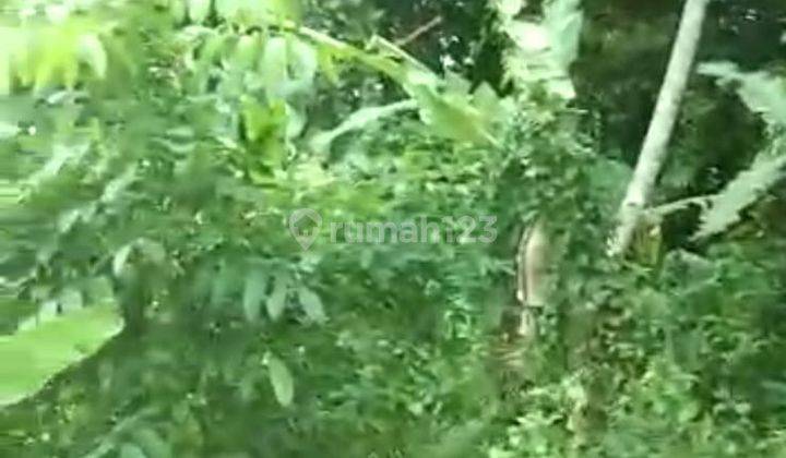 Lahan Harga Miring Jalan Raya Cinangka Padarincang 4