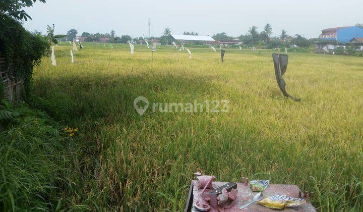 Tanah Perumnas Cibeber Nego Sampai Deal 1