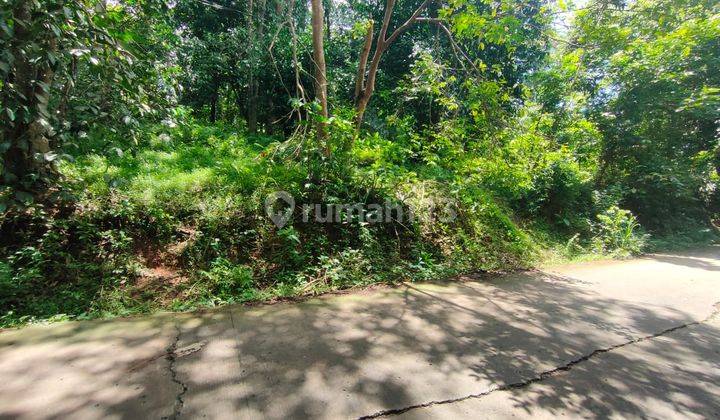 Tanah Harga Miring Bojong Anyer Cocok Untuk Villa 2