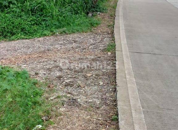 Tanah Peninjauan Anyer Sedang Bu Nego Sampai Deal 1