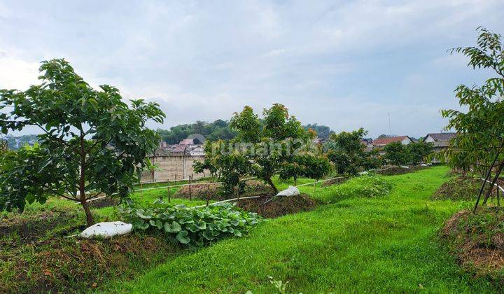 Villa Hitung Tanah Dijual di Jatinangor Sumedang 11.067 m² 2