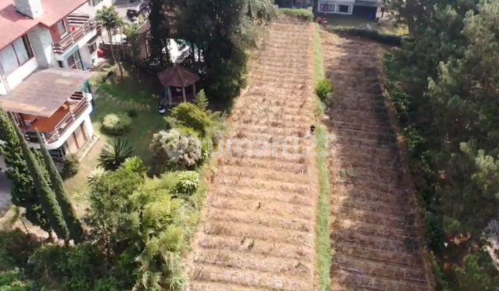 Tanah Dijual Siap Bangun di Villa Istana Bunga Lembang Bandung Tanah Dijual Siap Bangun di Villa Istana Bunga Lembang Bandung