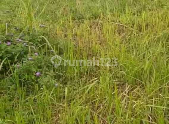 Tanah Dijual di Cilawu Garut Luas 1415m2