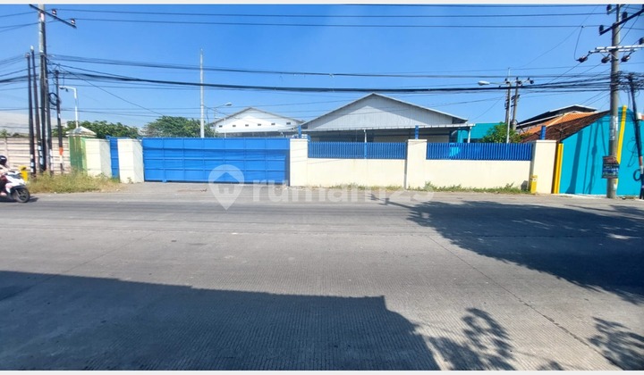 Bagus Gudang Pelem Watu Menganti Lantai Paving