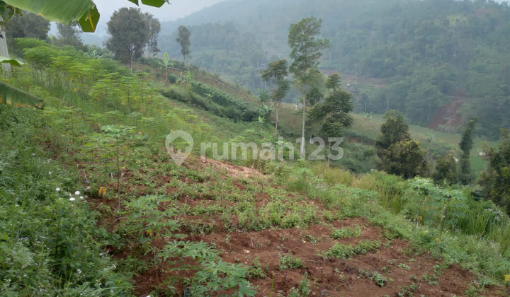 Di Jual Tanah Di Cisarua, Bandung Barat Lokasi Mainroad 11