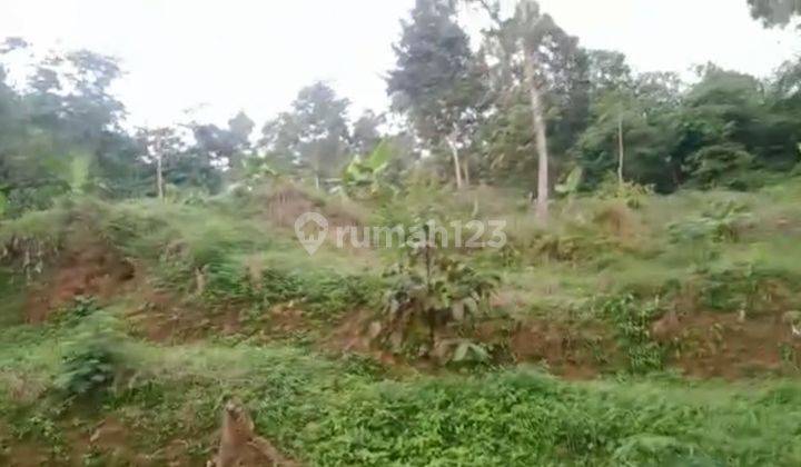 Di Jual Kebun Durian Di Cigudeg, Kabupaten Bogor 2