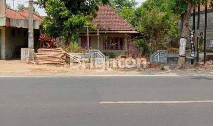 RUMAH BANGUNAN TUA PARE KAYANGAN JOMBANG 1