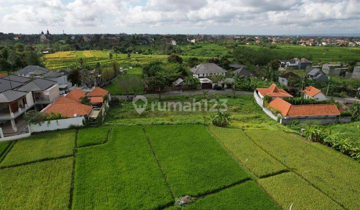 Land Wiht Rice Fiel View For Leasehold In Tumbak Bayuh Jl Veteran 2