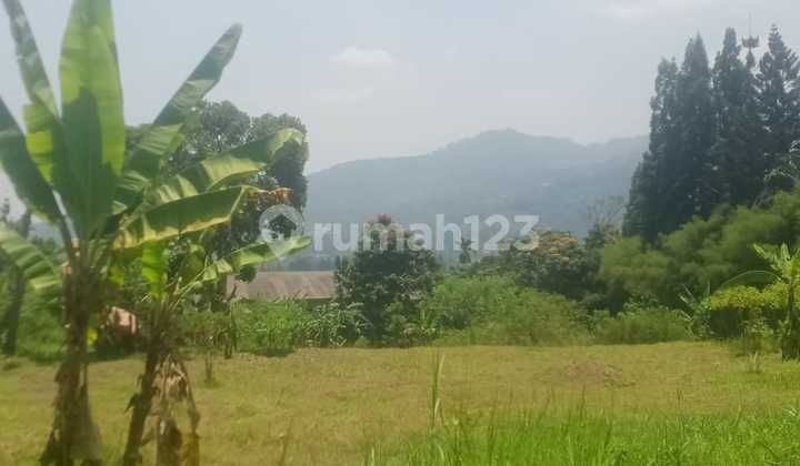 Tanah 9105 m2 SHM Cisarua, Bogor Tanah 9105 m2 SHM Cisarua, Bogor