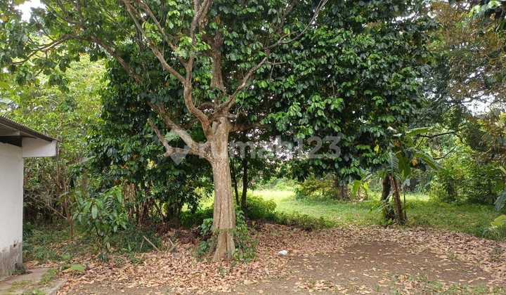 Land on Jl. Raya Jagakarsa SHM 3,045 m²