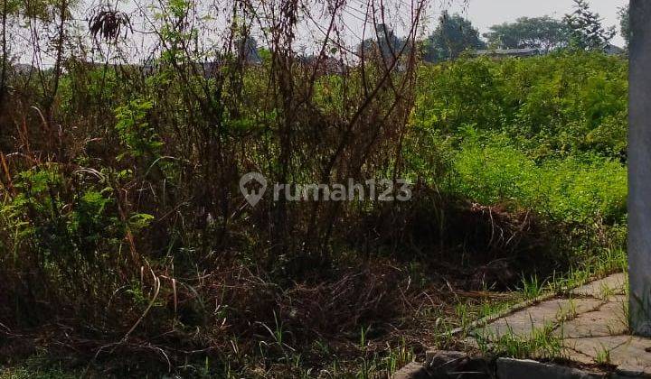 Gudang Lokasi Kawasan Industri Pancatama Cikande Serang 2