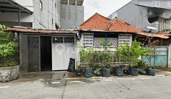 Rumah Tua&strategis 1 Lantai Dekat Perkantoran Di Kartini Di Kartini Rumah Shm