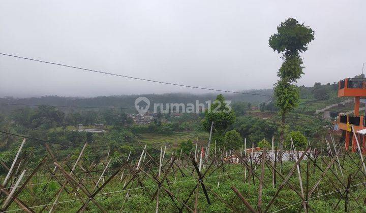 Tanah dijual ci di Caringin Cijeruk  1