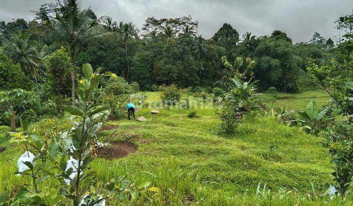 Tanah dijual 2