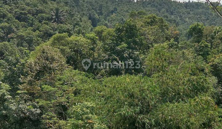 Tanah dijual Cigudeg Bogor  2