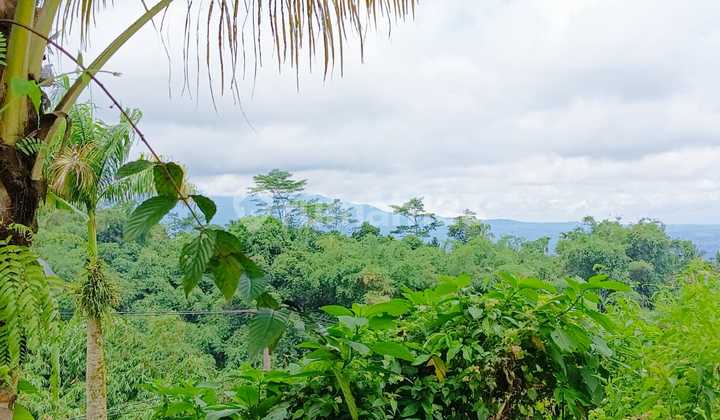 Rumah dijual di Cidahu manglid 3
