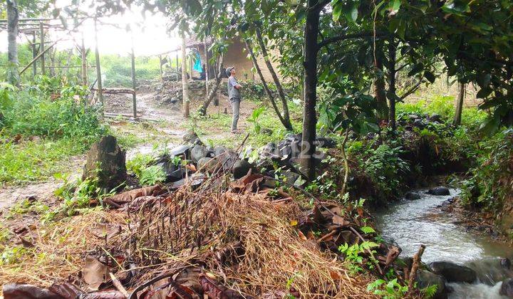 Tanah kebun 3