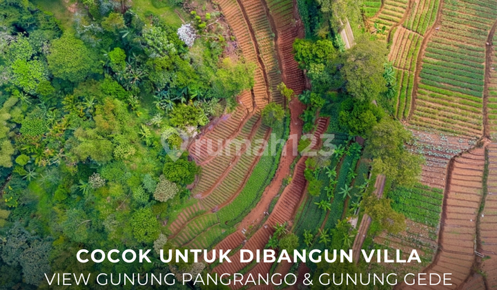 Land Suitable for Building Villa with Mountain View in Megamendung