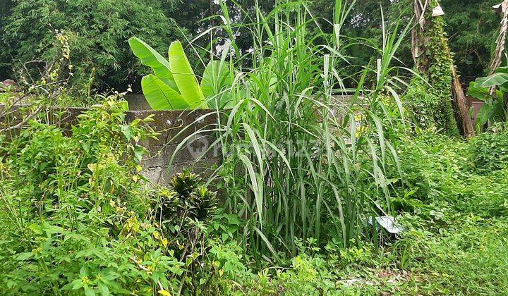 Tanah Pekarangan Sudah Dioagar Keliling Luasan 607 m² Status SHM 2