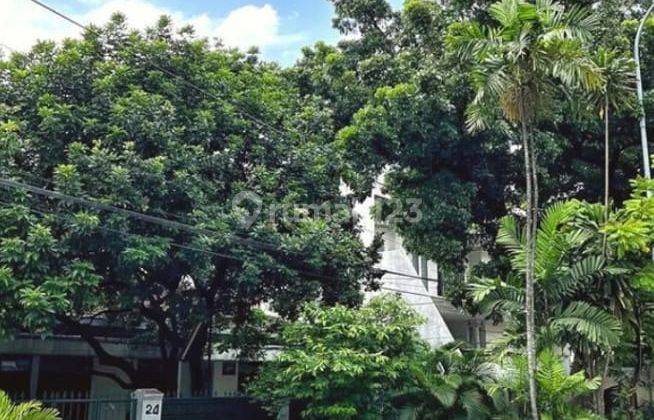 Jual Rumah At Patiunus Senayan Luas 628sqm,harga 37 Milyar 1