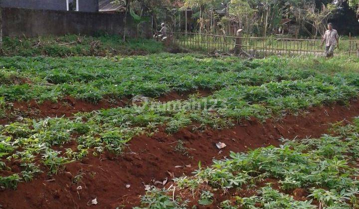 Tanag Pinggir Jalan Bagus di Jl. Prasaja, Tajur Halang, Bogor 2