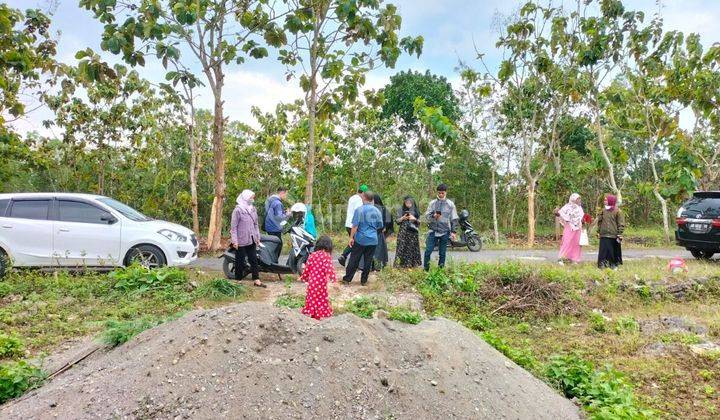 Tanah Kavling Shm, Dekat Kampus Uny Peluang Baik Untuk Investasi  10