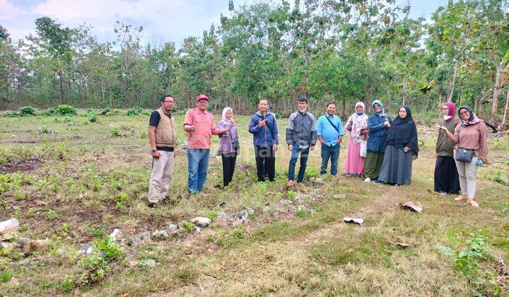 Tanah Kavling SHM Murah Dan Strategis Dekat Kampus Uny Gn Kidul 2