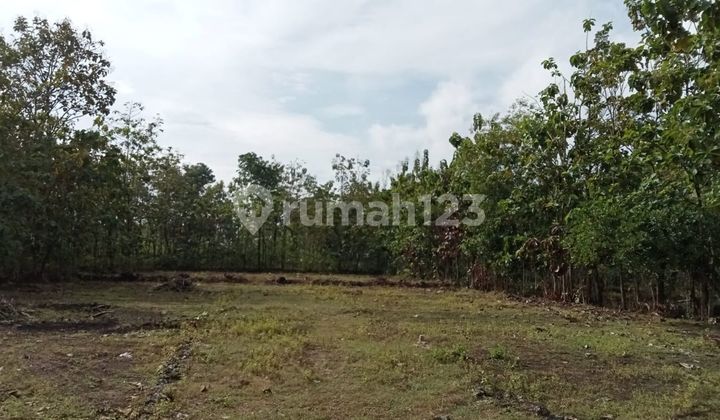 Tanah Kavling SHM Murah Dan Strategis Dekat Kampus Uny Gn Kidul 5