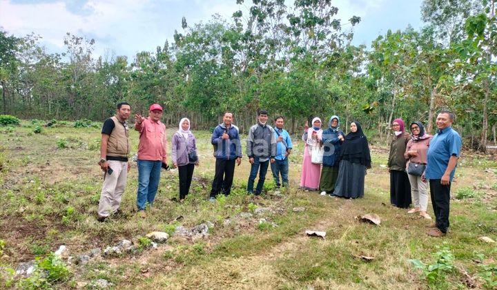 Tanah Kavling SHM Murah Dan Strategis Dekat Kampus Uny Gn Kidul 6