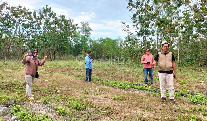 Tanah Kavling SHM Murah Dan Strategis Dekat Kampus Uny Gn Kidul 8