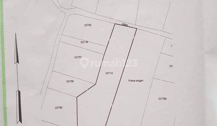 Tanah SHM Murah Isi Kebun Jati di Semin Gunung Kidul, Free Pajak 8