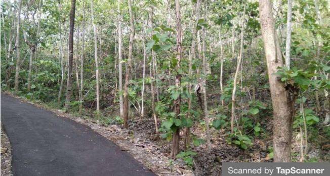  Tanah Shm Murah Cocok Utk Perkebunan, Peternakan, Atau Industri. 2