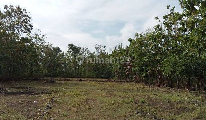 Tanah Kavling SHM Murah Dan Strategis Dekat Kampus Uny Gn Kidul 5