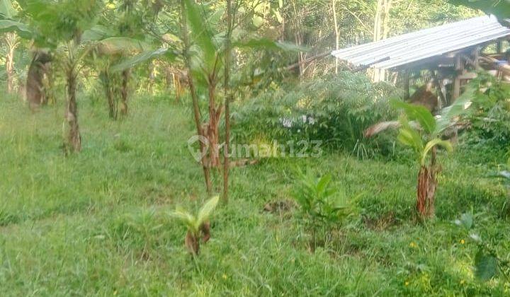Tanah SHM Dekat Jalan Propinsi Dan Terminal Sindangkerta Cililin 6