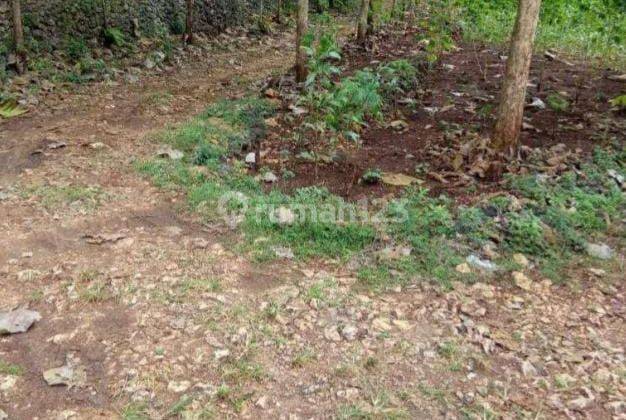 Tanah SHM Murah Strategis Ditepi Jl Kabupaten Dkt Ke Jl Propinsi 5