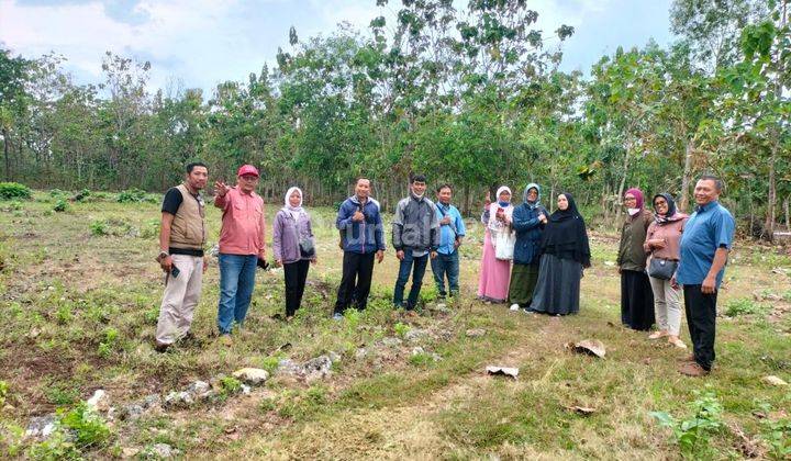 Kavling SHM Strategis Dekat Kampus Uny, Sebelum Harga Naik Lagi 6