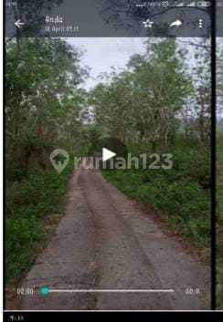 Tanah Murah Srategis Cocok Utk Perkebunan, Peternakan, Industri 1