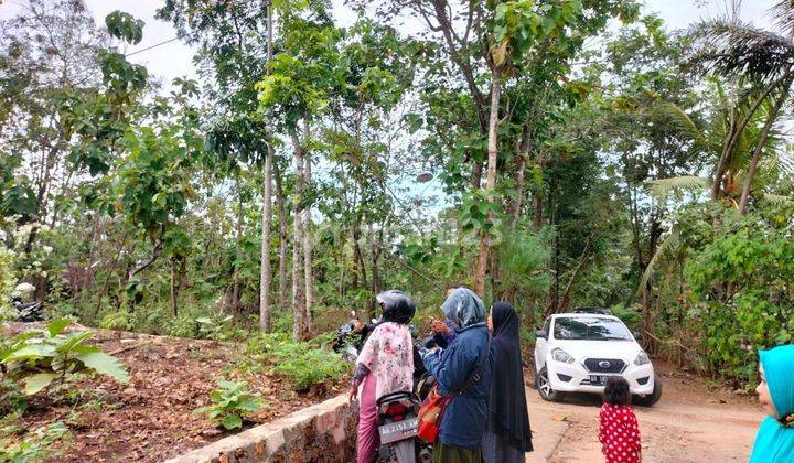 Kavling Murah Strategis, Dekat Kampus Uny Peluang Utk Kost Kostan 9