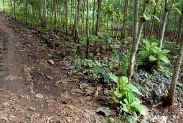 Tanah 8 Ha Lebih, Cocok Buat Peternakan, Perkebunan Atau Industri 3