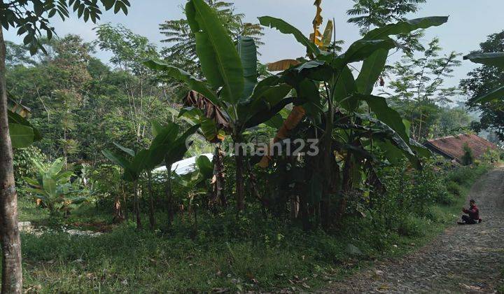 Tanah Shm, Lokasi Strategis Dekat Terminal Sindangkerta Cililin 3