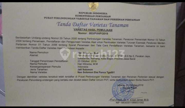 Tanah Lahan Kebun Jati SHM di Gunung Kidul, Cocok Untuk Investasi 5