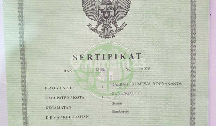 Tanah Lahan Kebun Jati SHM di Gunung Kidul, Cocok Buat Investor 4